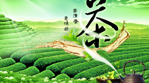 Giới thiệu Tân Sanh